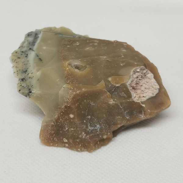 Opalisiertes Versteinertes Holz